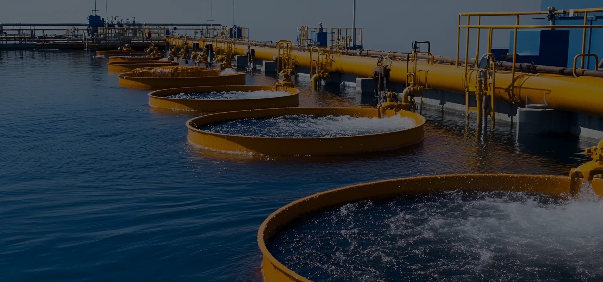 Perusahaan kita wis nggawe sistem kontrol lan jaminan kualitas lengkap